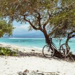 有酸素運動に役立つ自転車