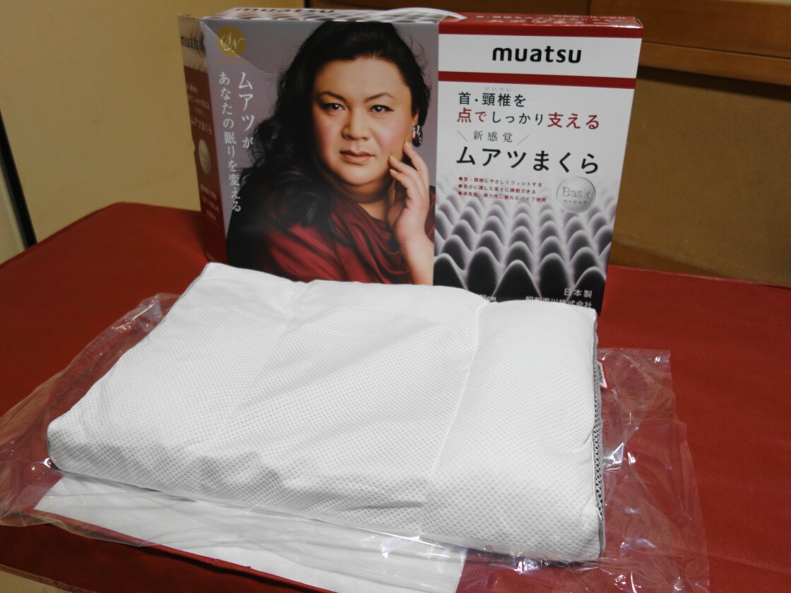 廉価版のムアツまくらの外観