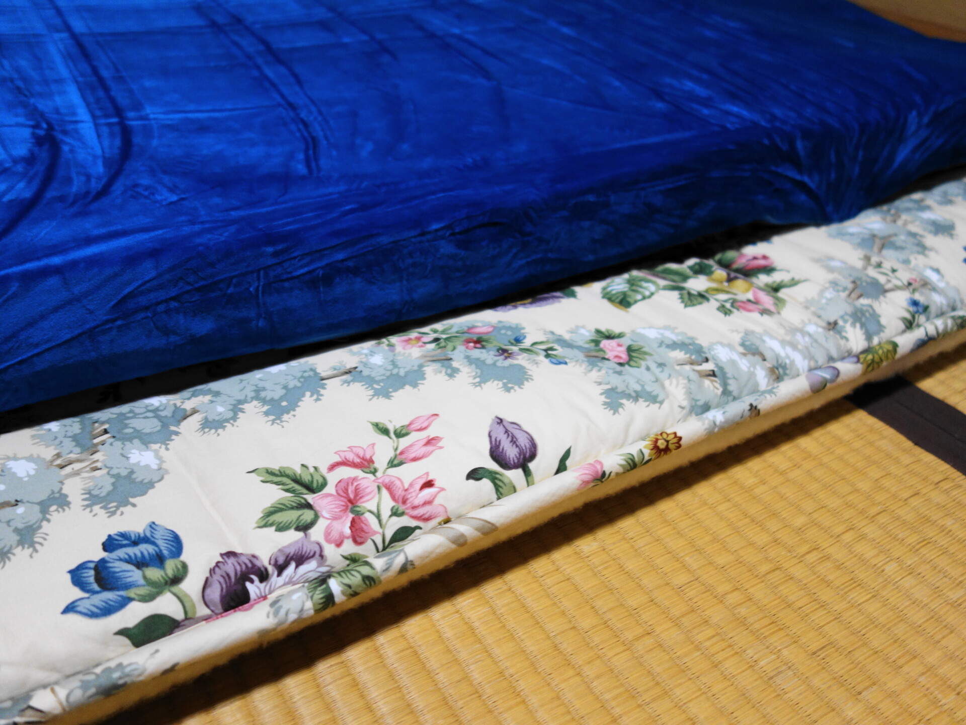 エムリリー優反発のレビュー