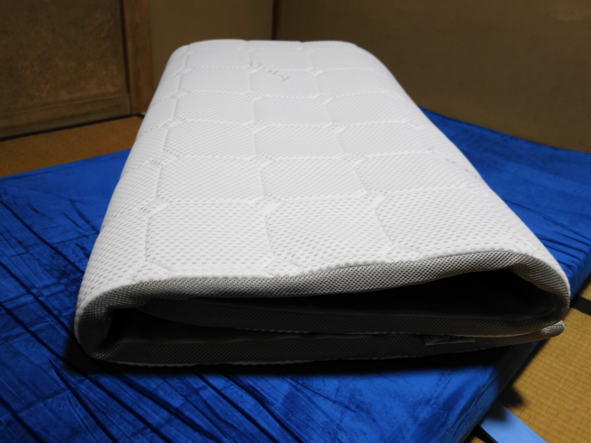 エコヘルスを三つ折りにした状態