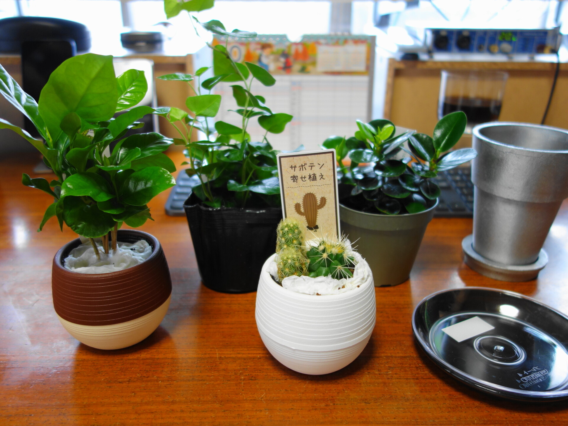 e-花屋さんのサボテンや植木鉢