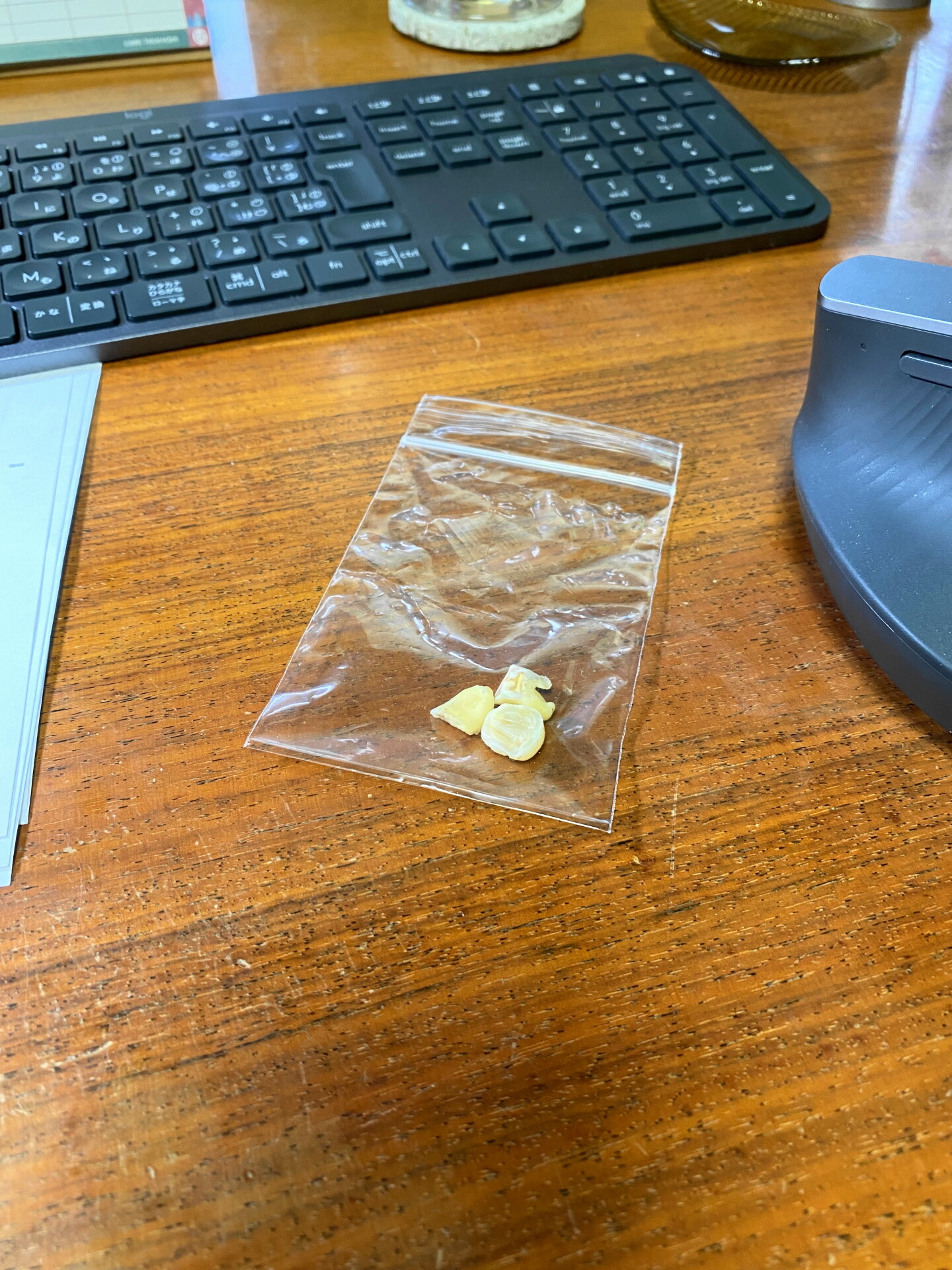 ドリルで分割された親知らず