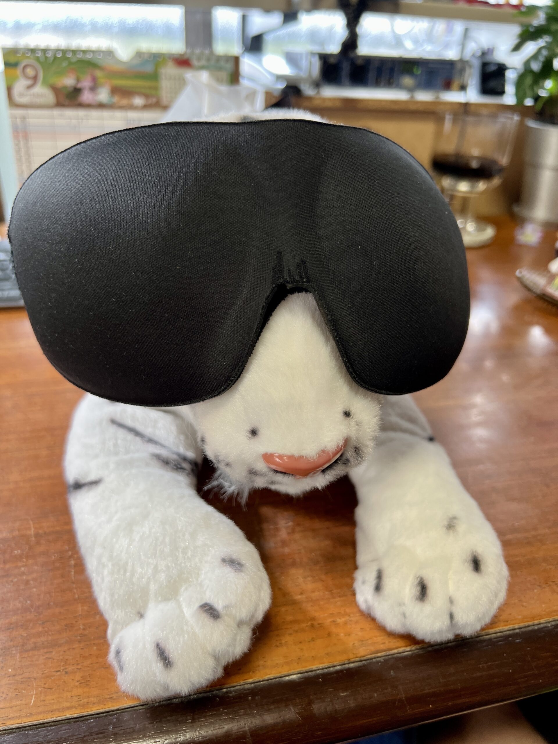 通常のアイマスク