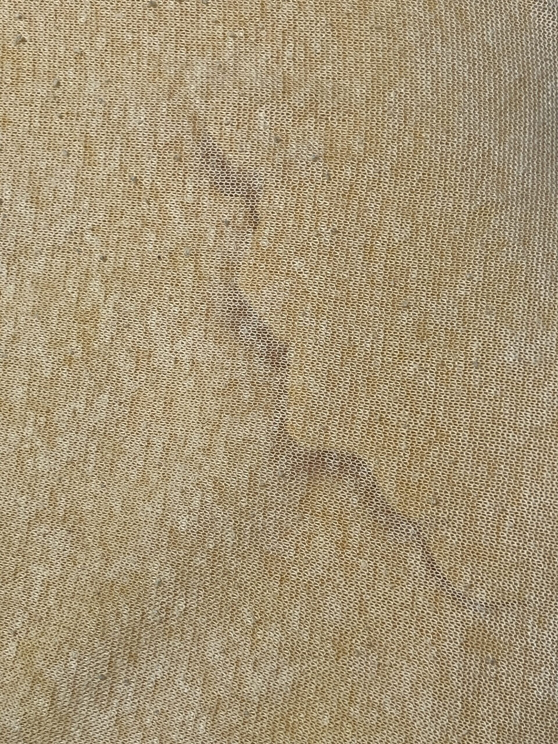 割れたテンピュール素材