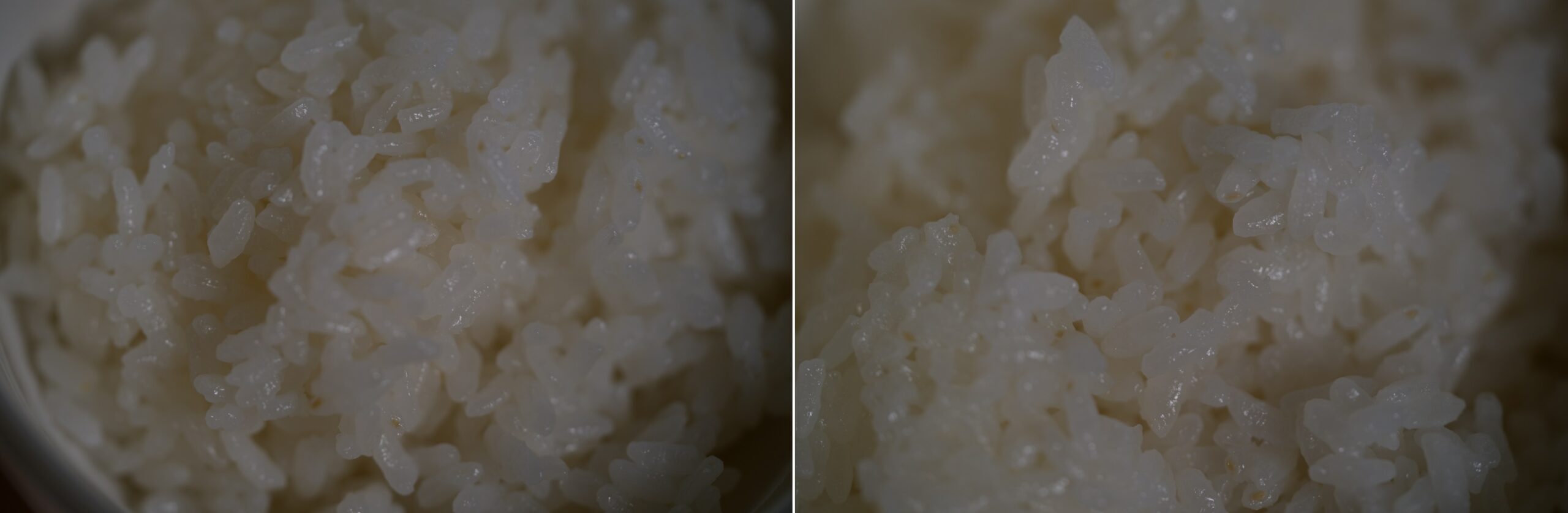 別の炊飯器で炊いた米を比較